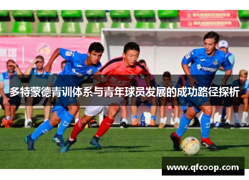 多特蒙德青训体系与青年球员发展的成功路径探析