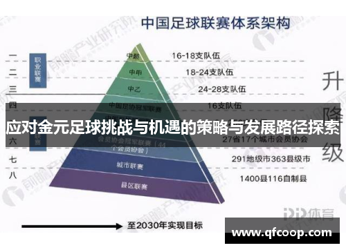 应对金元足球挑战与机遇的策略与发展路径探索