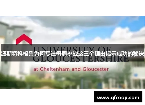 波斯特科格鲁为何专注每周挑战这三个理由揭示成功的秘诀